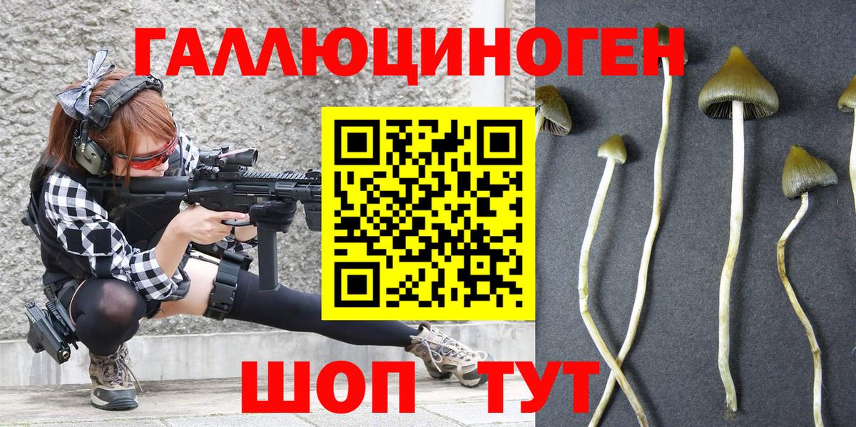 Псилоцибиновые грибы Cubensis  Вход с VPN  Курск 